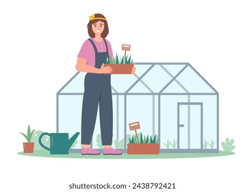 Young woman with plants near greenhouse in garden. Gardening and harvesting concept. Flat vector illustration on white background.