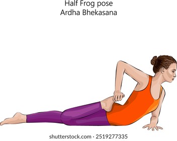 Young woman practicing Ardha Bhekasana yoga pose. Half Frog pose. Intermediate Difficulty. Isolated vector illustration.