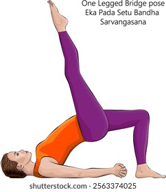 Young woman practicing Eka Pada Setu Bandha Sarvangasana yoga pose. One Legged Bridge pose.Intermediate Difficulty. Isolated vector illustration.