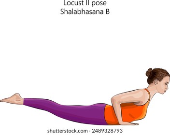 Young woman practicing Shalabhasana B yoga pose. Locust II pose. Intermediate Difficulty. Isolated vector illustration.