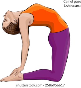 Young woman practicing Ushtrasana yoga pose. Camel pose. Intermediate Difficulty. Isolated vector illustration.