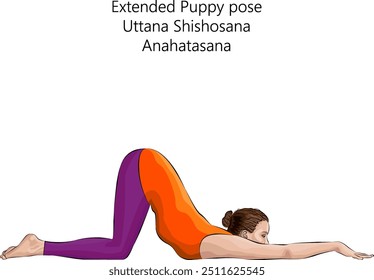 Young woman practicing Uttana Shishosana yoga pose. Anahatasana. Extended Puppy pose. Intermediate Difficulty. Isolated vector illustration.