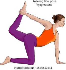 Young woman practicing Vyaghrasana yoga pose. Kneeling Bow pose. Intermediate Difficulty. Isolated vector illustration.