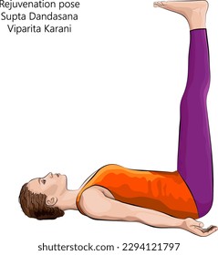 Young woman practicing yoga exercise, doing Rejuvenation pose or Supine Staff pose. Supta Dandasana or Viparita Karani. Supine and Balancing. Beginner. Vector illustration isolated on white background