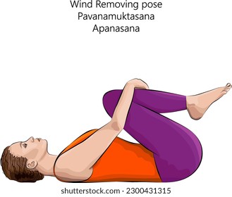 Young woman practicing yoga exercise, doing Wind Removing or Wind Relieving pose.Pavanamuktasana. Apanasana. Supine and Forward Bend. Beginner. Vector illustration isolated on white background.