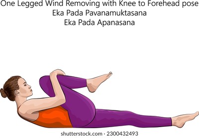 Young woman practicing yoga exercise, doing One Legged Wind Removing with Knee to Forehead pose. Eka Pada Pavanamuktasana. Eka Pada Apanasana. Vector illustration isolated on white background