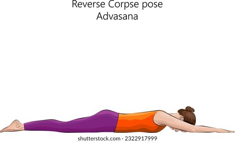 Young woman practicing yoga exercise, doing Reverse Corpse pose. Advasana. Prone and Neutral. Beginner. Isolated vector illustration.