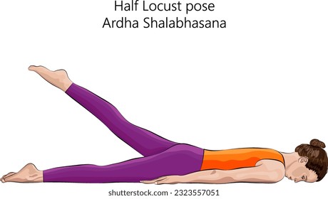 Young woman practicing yoga exercise, doing Half Locust pose. Ardha Shalabhasana. Prone and Backbend. Beginner. Isolated vector illustration.