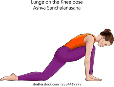 Young woman practicing yoga exercise, doing Lunge on the Knee pose or Equestrian pose. Horse pose. Ashva Sanchalanasana. Arm Leg Support and Balancing. Beginner. Isolated vector illustration.