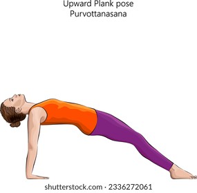 Junge Frau, die Yoga-Übungen, Aufwärtspolen oder Reverse Plank macht. Pantoletten-Pose. Purvottanasana. Unterstützung für den Arm und Rückbiegung. Anfänger.  Einzige Vektorgrafik.