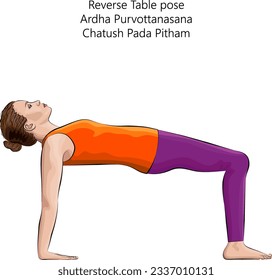 Junge Frau, die Yoga-Übung, Reverse Table Pose oder Crab Pose. Ardha Purvottanasana. Unterstützung für den Arm und Rückbiegung. Anfänger.  Einzige Vektorgrafik.