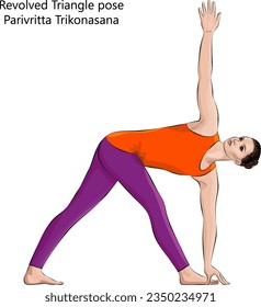Young woman practicing yoga exercise, doing Revolved Triangle pose. Parivritta Trikonasana. Standing and Twist. Intermediate. Isolated vector illustration.