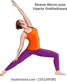 Young woman practicing yoga exercise, doing Reverse Warrior pose. Viparita Virabhadrasana. Standing and Lateral Bend. Intermediate. Isolated vector illustration.