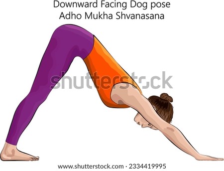 Young woman practicing yoga exercise, doing Downward Facing Dog pose. Adho Mukha Shvanasana. Arm Leg Support and Forward Bend. Beginner. Isolated vector illustration.