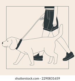 Joven en pantalones cortos con un perro grande en una correa. Un labrador lindo en un paseo. Espectáculo de perro o perro caminando por la ciudad o en el parque. Gráficos de contorno plano vectorial.