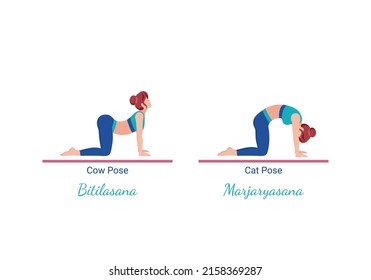 Young woman is standing in Marjaryasana-Bitilasana. Active woman in Cat-Cow stretching. Girl is exercising enjoying healthy lifestyle. Vector Illustration isolated on white background.