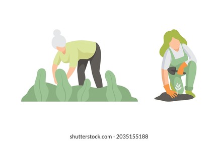 Young Woman with Trowel on Garden Bed Planting Engaged in Horticulture Vector Set