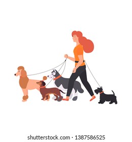 Young Woman walking with a dogs different breeds: terrier, poodle, dachshund, husky. Vector Illustration