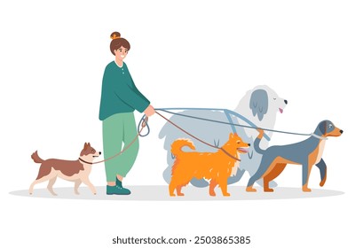 Young woman walking with dogs on leash. Dog walker character. Pet owner or volunteer, outdoor activity, healthy lifestyle, pet care concept. Vector flat illustration isolated on white background.