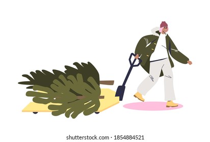 Young woman in warm coat carry fir tree for Christmas eve from fir tree market on sledge. Cartoon female character buy evergreen Christmas tree. Flat vector illustration