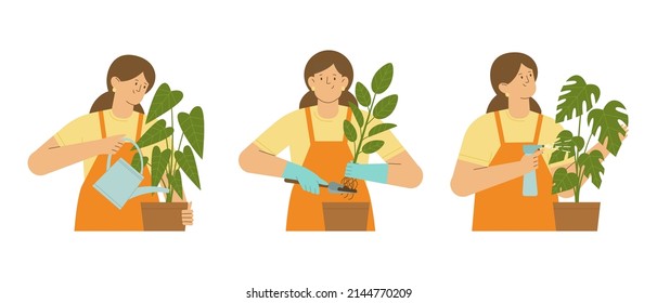 Young woman watering, spraying, transplanting plants in ceramic pot. Home garden, green house, hobby concept. Vector cartoon set on white background