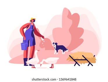 Young Woman in Working Robe Feeding Geese, Dog Stand nearby. Female Farmer, Villager Character at Work. Girl Care of Birds on Farm at Summertime, Agriculture, Farming. Cartoon Flat Vector Illustration