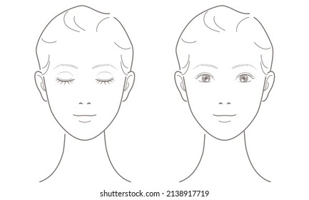 Young woman's face in line drawing. Eyes open and closed. For explanation of beauty, fashion, makeup, skincare. Vector illustration isolated on white background.