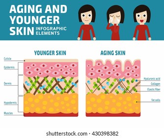 Younger And Aging Skin Infographic Elements.
Elastin And Collagen Flat Vector Illustration.