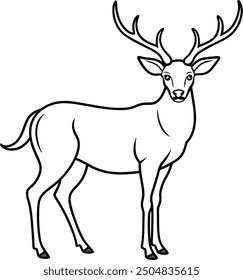 Younger Dear outline illustration, standing gracefully with antlers visible, drawn with elegant and slender lines on a white background.