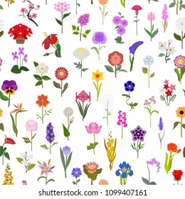 Your garden guide. Top 50 most popular flowers seamless pattern. Vector illustration