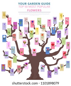 Your garden guide. Top 50 most popular flowers infographic. Vector illustration