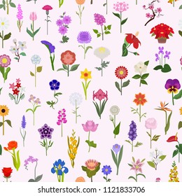 Your garden guide. Top 50 most popular flowers seamless pattern. Vector illustration
