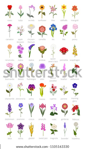 Your Garden Guide Top 50 Most Stock Vector (Royalty Free) 1105163330 ...