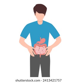 Your gut is your gastrointestinal system and includes your stomach, intestines and colon. It digests and absorbs nutrients from food