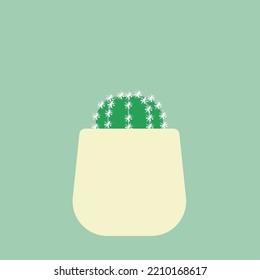Your room will be beautiful with little cactus.