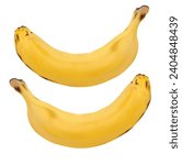 Your vector contains objects outside the artboard. Ensure all objects are within the boundaries of the artboard, and upload your of bananas Building A Better Banana | Science| Smithsonian  Male mice a