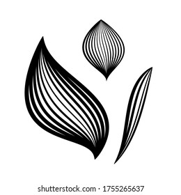 So you're looking for a vector leaf, this is my design for you, please download it.