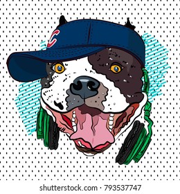 Youth print. Bulldog in baseball cap. Vector.