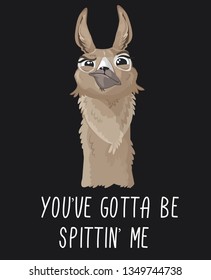 You've gotta be spittin' me llama print with funny alpaca head on dark backround. Llama motivational print. Vector alpaca meme illustration.