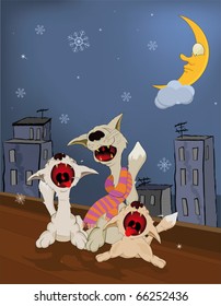 Yowling cats on a roof and a New Year's eve