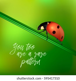 Yoy too are a rare pattern - vector background with quote and realistic ladybug insect on a blurred green. EPS10.