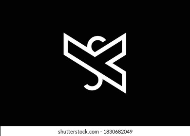 YS letter logo design on luxury background. SY monogram initials letter logo concept. YS icon design. SY elegant and Professional letter icon design on black background. Y S SY YS