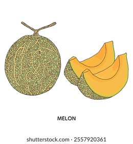 Yubari melon line drawing illustration