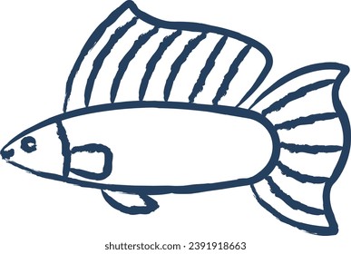 Yucatan Molly Fish hand drawn vector illustration