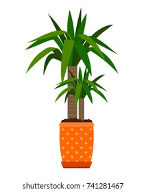 Yucca houseplant in flower pot, vector icon on white background