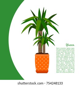 Yucca indoor plant in pot banner template, vector illustration