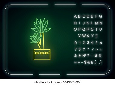 Yucca neon light icon. Small exotic indoor palm. Mexican tree. Houseplant with pointed leaves. Outer glowing effect. Sign with alphabet, numbers and symbols. Vector isolated RGB color illustration