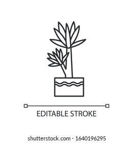 Yucca pixel perfect linear icon. Small exotic indoor palm. Mexican tree with pointed leaves. Thin line customizable illustration. Contour symbol. Vector isolated outline drawing. Editable stroke