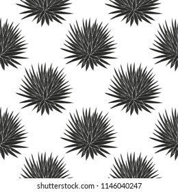 Yucca. A plant, a bush. Black silhouette on white background. Sketch. Wallpaper, texture, seamless.