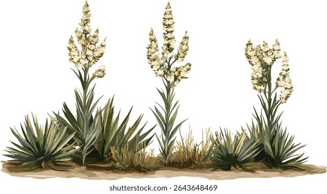 Yucca rostrata Big Bend yucca bico yucca isolada média e pequena ilustração de vetor de árvore frontal recorte, plantas de jardim áridas, vegetação do deserto do sudoeste, arbusto ornamental.